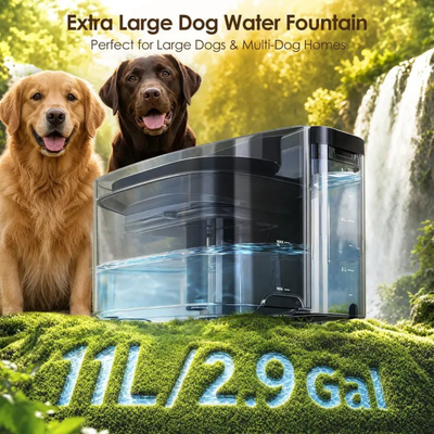 PetSpring