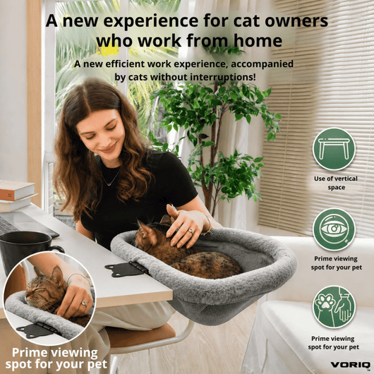 CatLedge